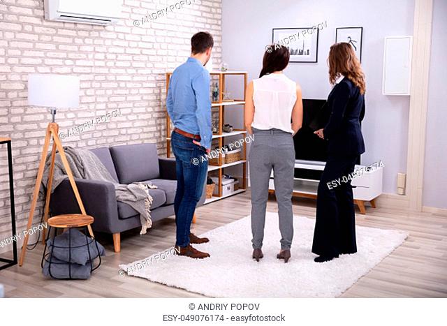 Female Realtor Showing Air Conditioner To Young Husband And Wife In Living Room
