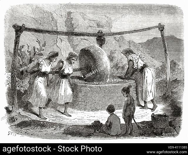 Grinder to grind the olives, women working in the grinding of the olives, Kabylia. Northern Algeria, Africa. Excursion in Great Kabylia by Commander Emile...