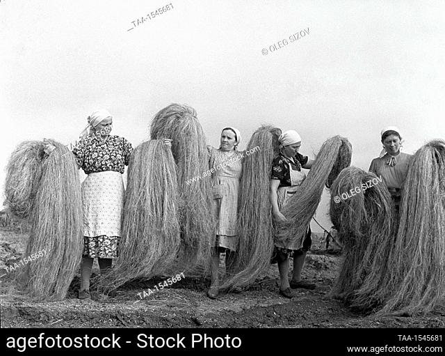 Kursk Region, USSR. Workers of the kolkhoz hemp plant P. Tarlycheva, A. Bugayeva, M. Belkina and R. Khodosova (L-R) sort fiber in Kalinovka Village