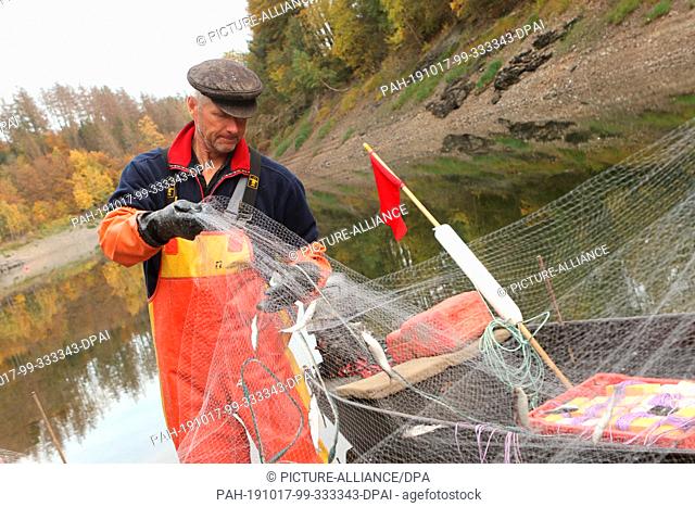 15 October 2019, Saxony-Anhalt, Hasselfelde: Fischer Gernot Quaschny pulls in his net on the Rappbodetalsperre. On behalf of the Sachsen-Anhalt dam operation