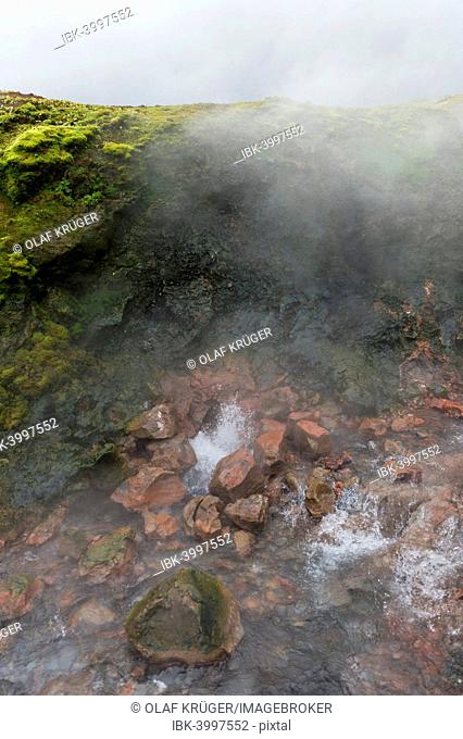 Hot Spring Deildartunguhver, highest-flow hot spring of Iceland with 180 liters of boiling water per second, Reykholtsdalur, Iceland