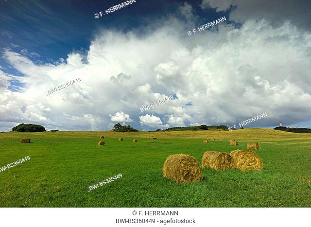 gathering clouds over field landscape, Germany, Mecklenburg-Western Pomerania, Hiddensee