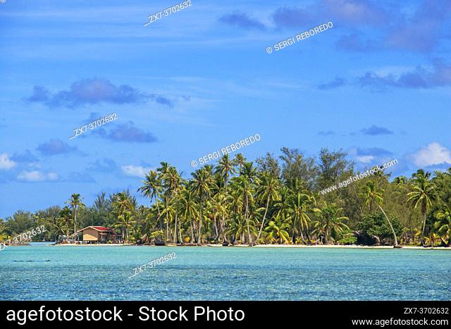 Tropical paradise seascape Taha'a island landscape, French Polynesia. Motu Mahana palm trees at the beach, Taha'a, Society Islands, French Polynesia