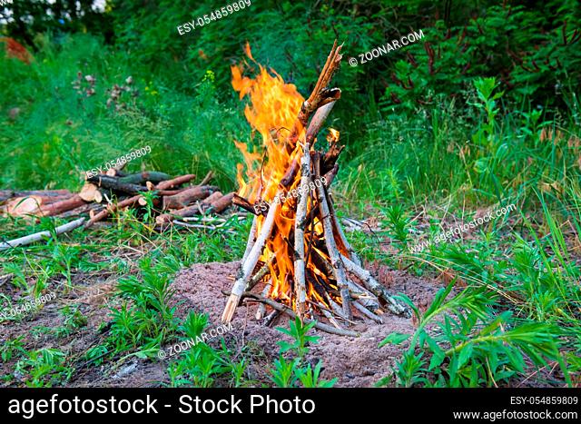 View of bonfire with bright orange flames and heap of firewoods at camp in green forest