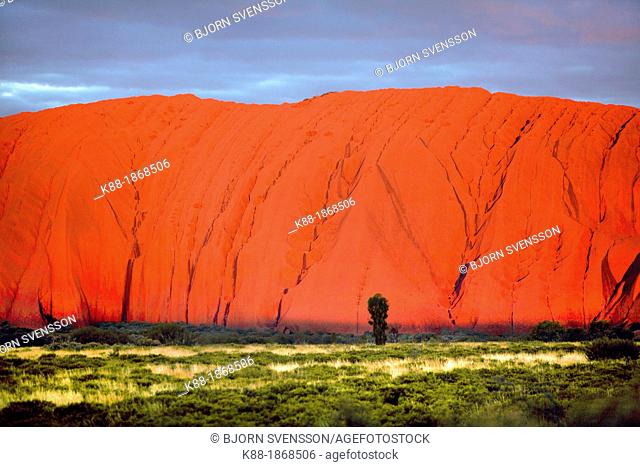 Uluru Ayer's Rock, Central Australia