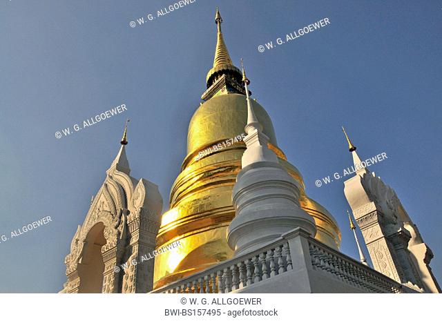 golden Chedi of Wat Suan Dok Temple, Thailand, Chiang Mai