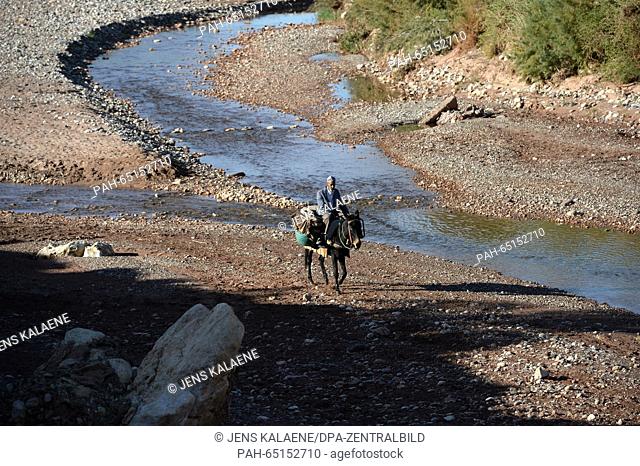 A man rides on a donkey alongside the riverside in Ait Benhaddou, Morocco, 08 November 2015. Photo: Jens Kalaene - NO WIRE SERVICE - | usage worldwide