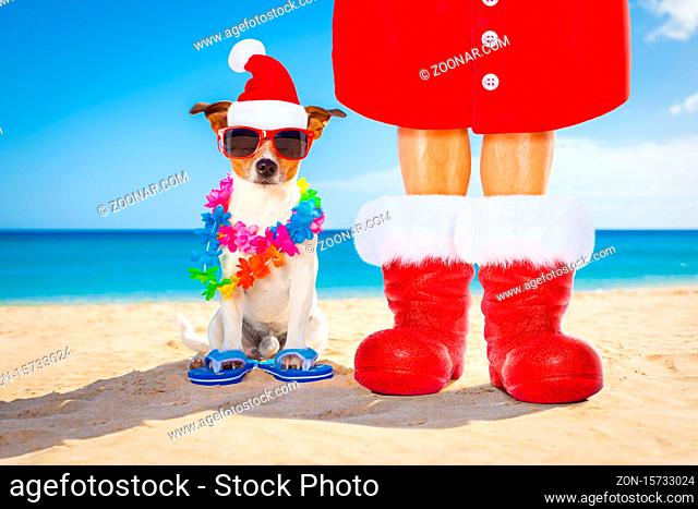 dog and owner sitting close together at the beach on summer christmas vacation holidays, wearing a santa claus hat and red boots