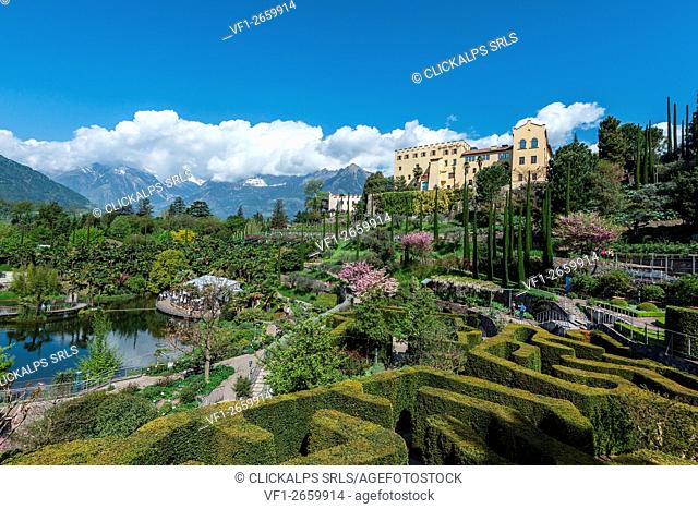 Merano/Meran, South Tyrol, Italy. The Maze in the Gardens of Trauttmansdorff Castle in Merano