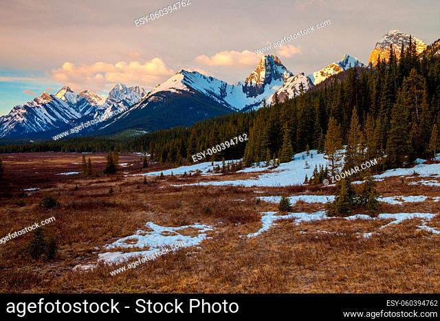 The mountains and a meadow in Kananaskis Alberta, Canada