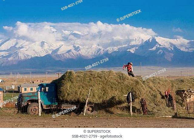 Kyrgyzstan, Farmers working, with mountains of Sary Tash in background