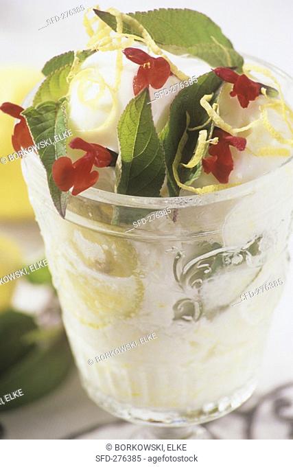 Lemon sorbet with pineapple sage flowers