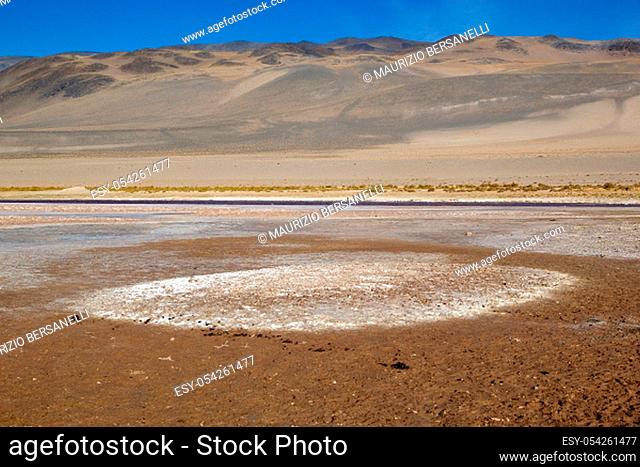 Landscape in the Puna de Atacama, Argentina. Puna de Atacama is an arid high plateau in the Andes of northern Chile and Argentina