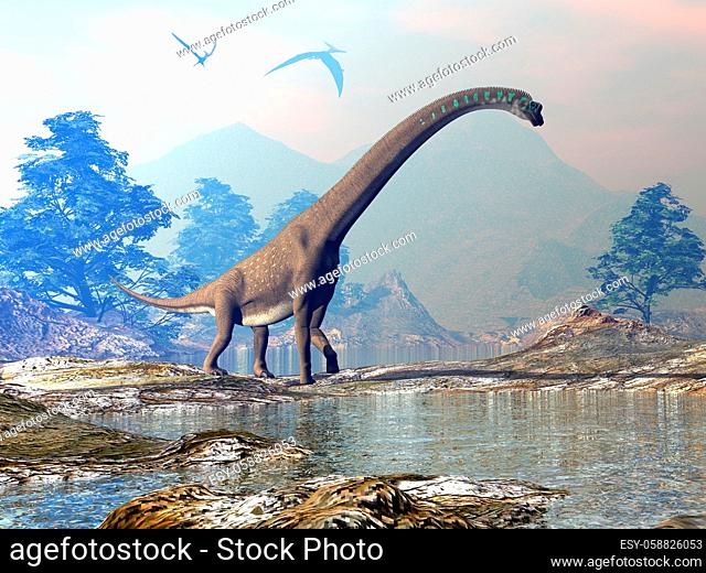 Giraffatitan dinosaur walking in a landscape by sunset - 3D render
