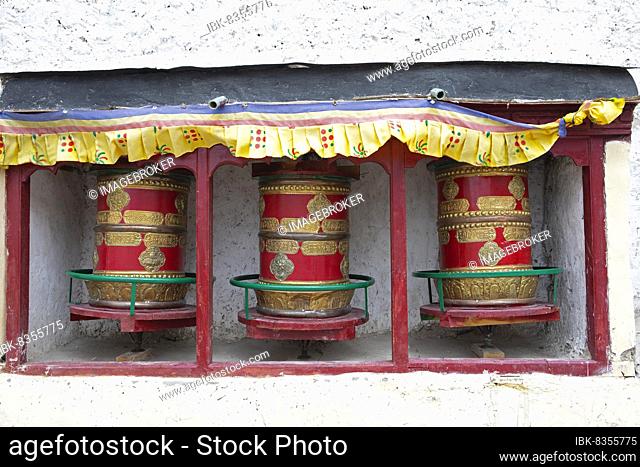 Prayer wheels, Diskit Monastery or Deskit Gompa, Dogs, Nubra Valley, Ladakh, India, Asia