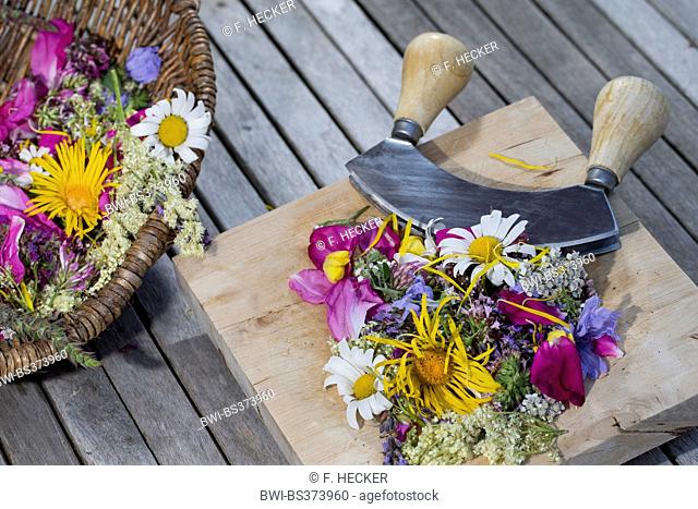 eatable petals in a basket with a knife, Germany