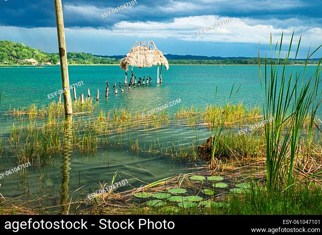 Abandoned dock along the lake shore with birds sitting on sticks, El Remate, Peten, Guatemala