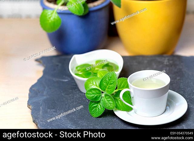 Cup of Silver Spurflower tea and leaves in a white bowl on stone slate plate. Color pots are in the background