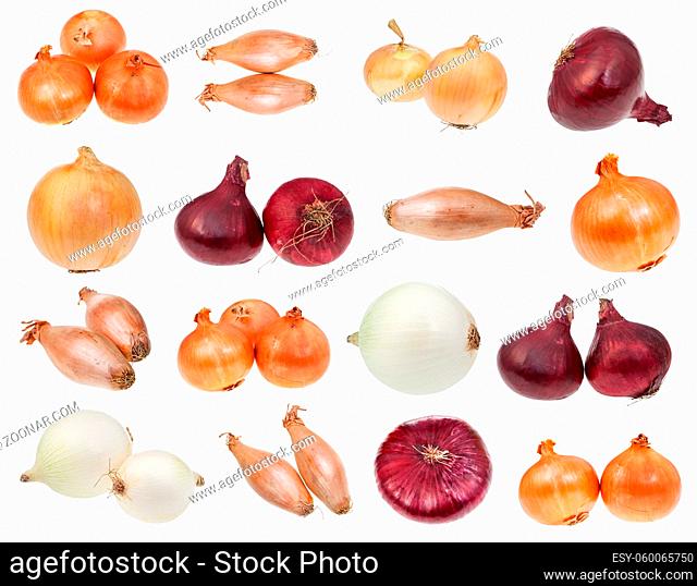 various bulb onions isolated on white background