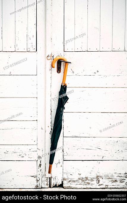 Umbrella cane on a white background. A black umbrella cane with light wooden handle hangs on white old wooden door