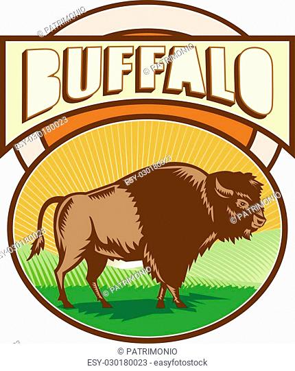 Illustration of an american bison buffalo bull viewed from the side set inside oval shape with sunburst and field in the background and the word Buffalo set...