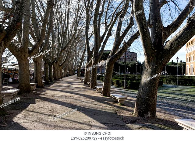 A small market and park with rows of trees nearby Castle Sant'Angelo