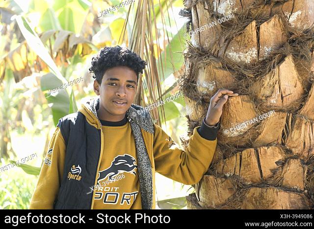 Teenager in a banana plantation in the village of Ramadi, west bank of the Nile south of Edfu, Egypt, North East Africa