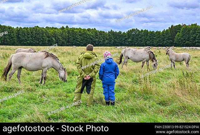 PRODUCTION - 07 August 2023, Brandenburg, Liebenthal: Ilona Plass (l) from the Liebenthal Horse Herd Foundation and her daughter Josephine stand in a pasture in...