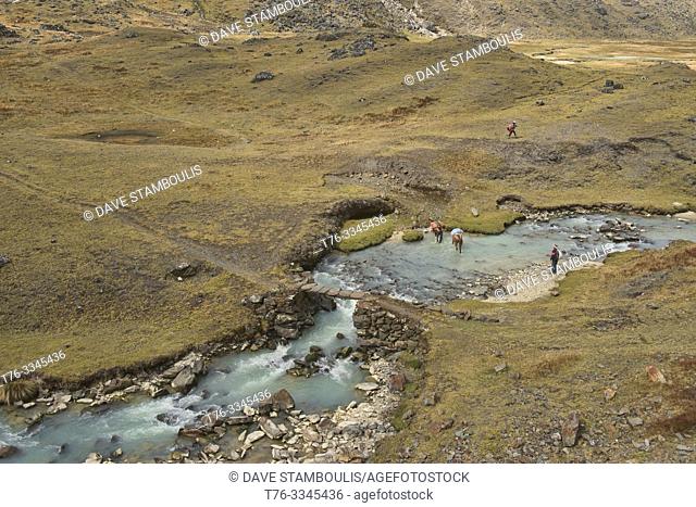 Horses crossing the Chacolpaya River, Cordillera Real Traverse, Bolivia