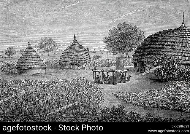 Farm of the indigenous people of the Dinka tribe, Afrik, in 1870a, on the Upper Nile, Sudan, Historic, digitally restored reproduction of a 19th century...