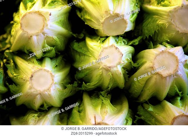 Image of lettuces as a background