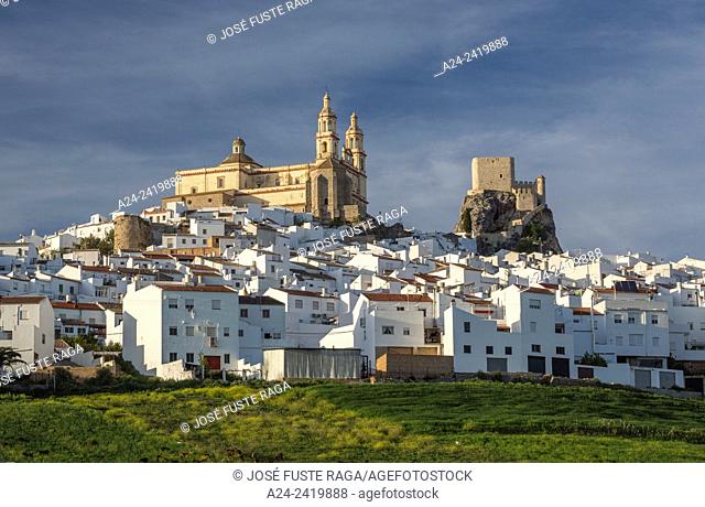 Spain , Andalucia Region, Cadiz Province, Olvera City,