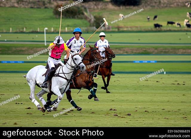 MIDHURST, WEST SUSSEX/UK - SEPTEMBER 1 : Playing polo in Midhurst, West Sussex on September 1, 2020. Three unidentified people