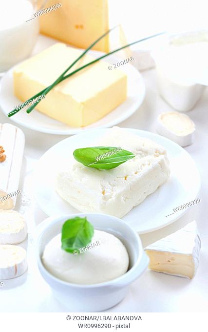 Assortment of dairy products on white background