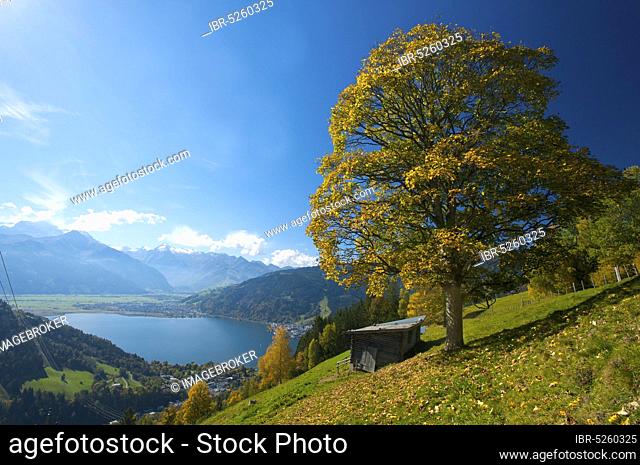 Lake Zell with a view of Thumersbach, Schüttdorf and Hohe Tauern, Pinzgau in Salzburger Land, Austria, Europe