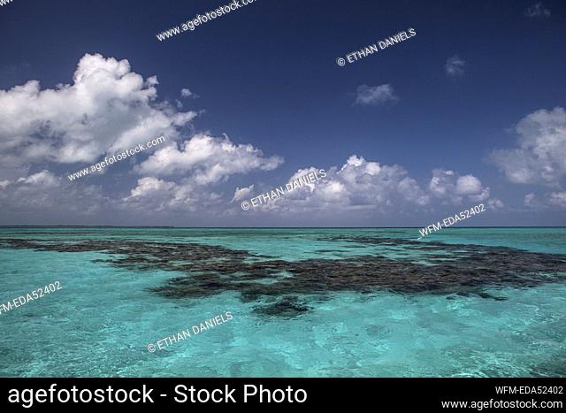 Turneffe Atoll, Caribbean, Belize