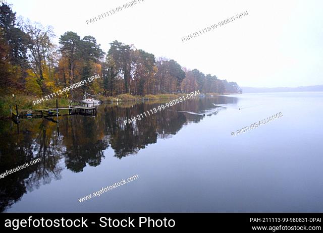 11 November 2021, Brandenburg, Fürstenberg/Havel/Ot Himmelpfort: The autumnal leafy trees on the shore are reflected in the water of the Haussee in a light mist