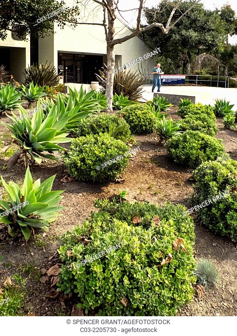 A post office in Laguna Niguel, CA, is landscaped with drought resistant plants requiring no irrigation. Note succulents