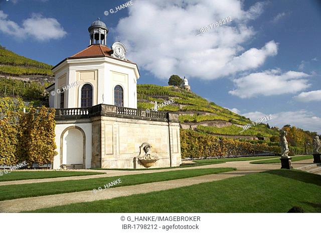 Belvedere of Wackerbarth Castle in the vineyard with Jacobstein, autumn, Radebeul, Saxony, Germany, Europe