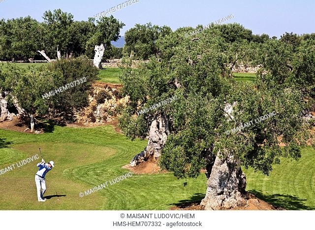 Italy, Puglia, Brindisi province, Fasano, Savelletri, Masseria Torre Maizza hotel, 9 holes golf field