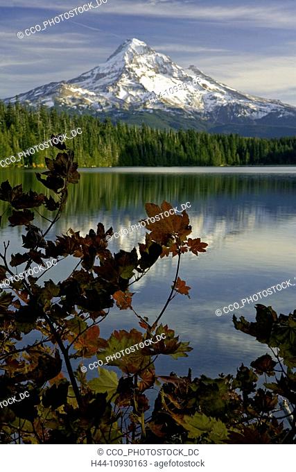 USA, Mt Hood, Mount Hood, OR, Oregon, lake, Lost Lake, fall, alpine, volcano, Vulcan, cascade range, mountain, peak, snow, glacier, glaciers, alpine lake