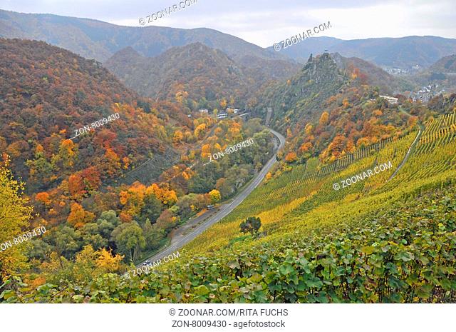 Blick auf Burg Are in Altenahr, Herbstimpressionen, Rheinland-Pfalz, Deutschland, Europa