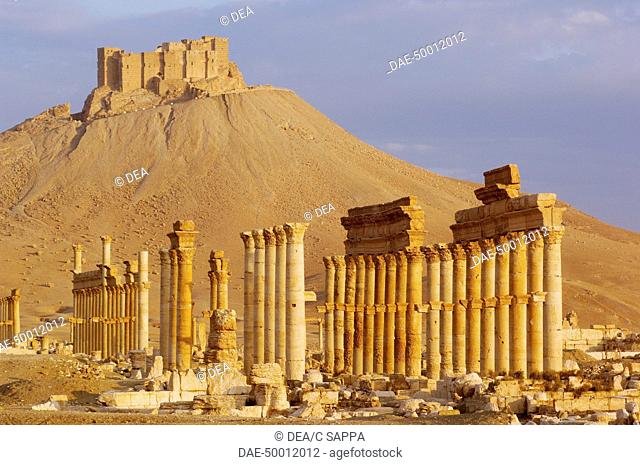 Syria - Palmyra (World Heritage Site by UNESCO, 1980). Ruins of the ancient city of I / II century AD and, on the hill, the castle of Arab Qalaat ibn Maan XVI /...