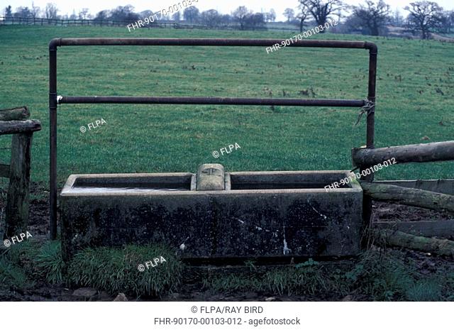 Farm Buildings - Old stone water trough with ballcock in centre - England