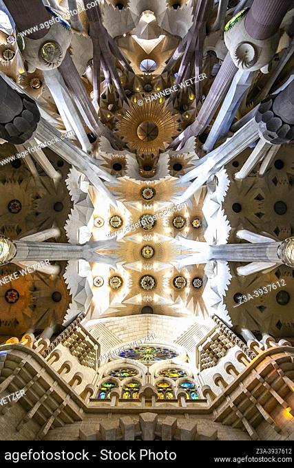 The famous ceiling inside the Sagrada Familia by Antoni Gaudi in Barcelona, Spain, Europe