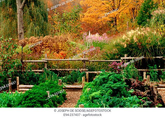 New England Vegetable and Perennial garden in the autumn