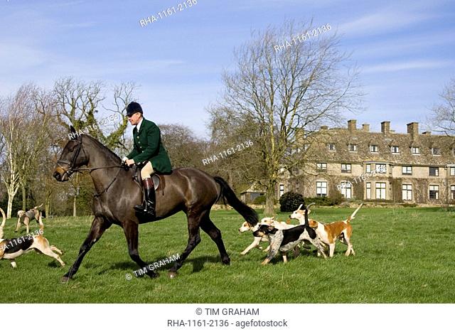 Member of Heythrop Hunt rides with foxhounds at traditional Hunt Meet on Swinbrook House Estate in Oxfordshire, United Kingdom