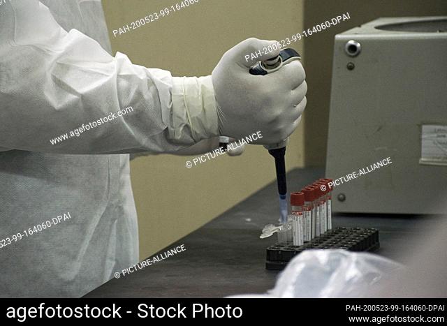 dpatop - 21 May 2020, Egypt, Giza: A picture made available on 23 May 2020 shows a medic analysing swabs taken from patients suspected to have contracted...