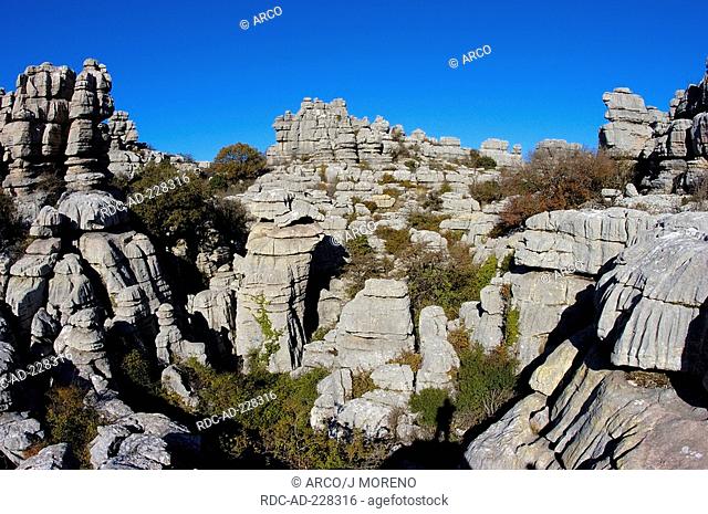 Jurassic limestones, natural park El Torcal de Antequera, Malaga province, Andalusia, Spain