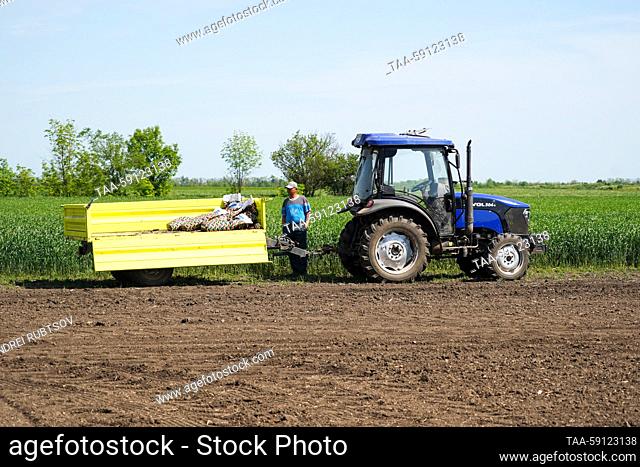 RUSSIA, ZAPOROZHYE REGION - MAY 16, 2023: A tractor is pictured in a winter wheat field of the Vysokopolye state enterprise in the Melitopol District